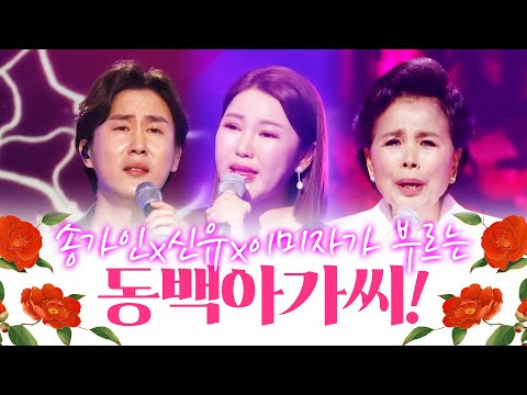 신유 송가인 이미자가 부르는 동백아가씨! 첫 음만 들어도 눈물이...