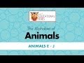 The Alphabet Of Animals E J