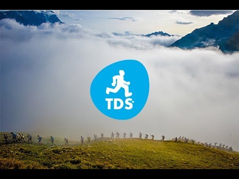 The TDS® 2017 (English)