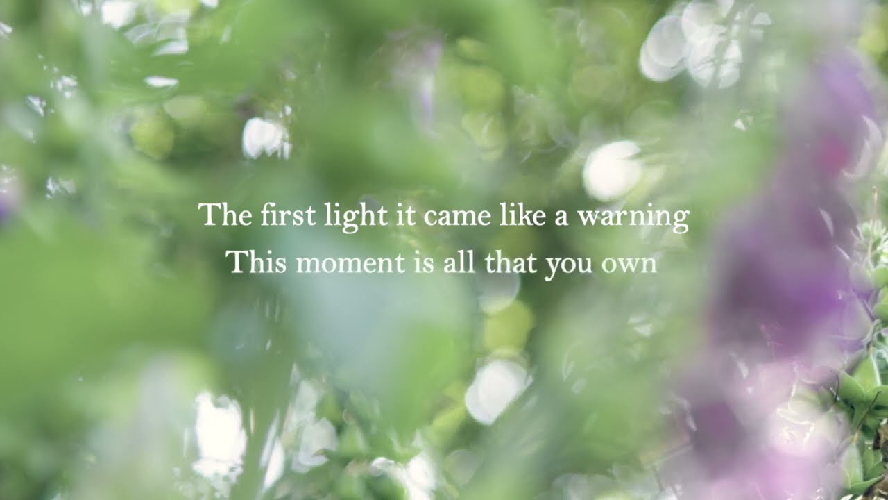 David Gray - All That We Asked For