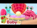Mr Snail Finds Pearl In Oyster Shell Sea Discovery Kids Cartoons BabyTV