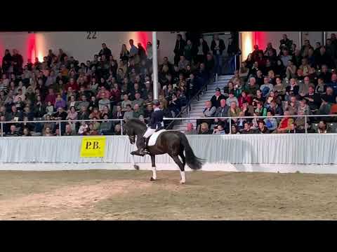 Secret und Jessica Lynn Thomas - 30. PB-Schau 2020 in Verden