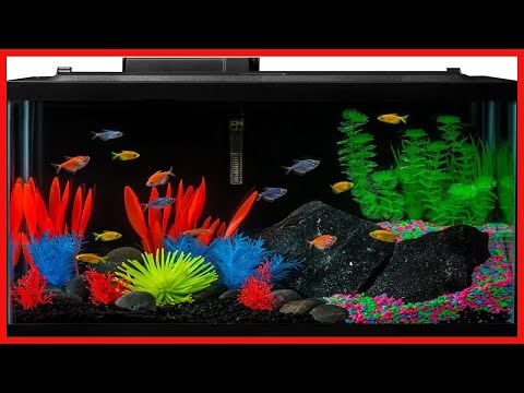 GloFish 20 Gallon Aquarium Kit with LED Lights, Decor Heater and Filter