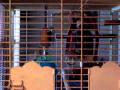 June 1 2010 011 MOV