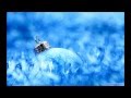 Frozen Memories (Nox Arcana)