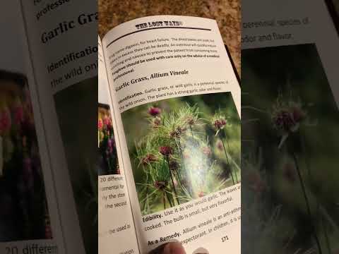 Master Survival Skills with The Lost Ways Book #survivalbooks #survival