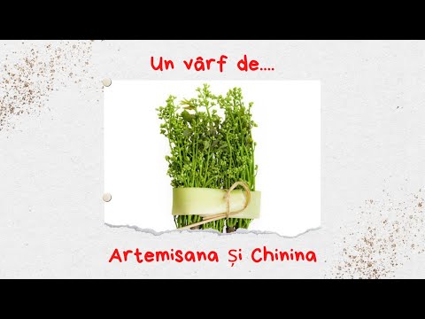 Un vârf de...Artemisana și Chinina