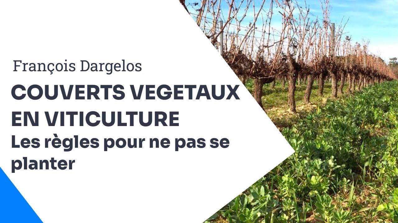 Couverts végétaux en viticulture, les règles pour ne pas se planter - François Dargelos