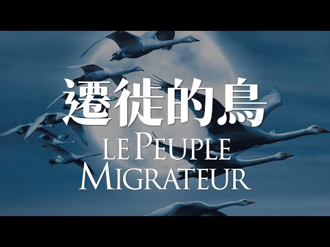 遷徙的鳥 | 頂級紀錄片的標準 | Le peuple migrateur | Winged Migration | Jacques Perrin | Nick Cave | Documentary