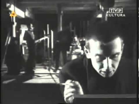 Świetliki   Nieprzysiadalność