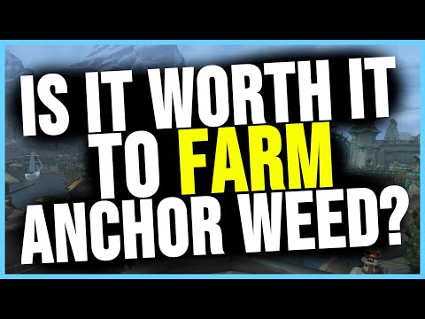 Is It WORTH IT To Farm Anchor Weed In Patch 8.3?