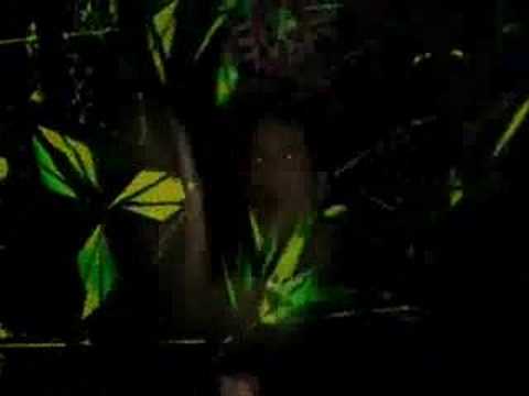 Cannibal BBQ LIVE @ ETNICA