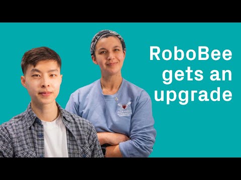 RoboBee Review Video 1