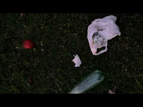 Tus acciones perjudican a todos