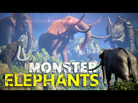 MetaMonster Studio and MetaVine Labs