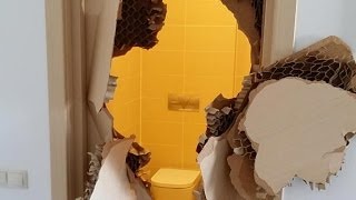 US Bobsledder Johnny Quinn Explains Breaking Down Locked Bathroom Door