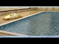 3ds max vray water effect tutorial 