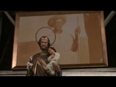 FLOR DE JASMIM E ABELHINHA - FLOR DE JAGUBE - SÃO JOSÉ 2018