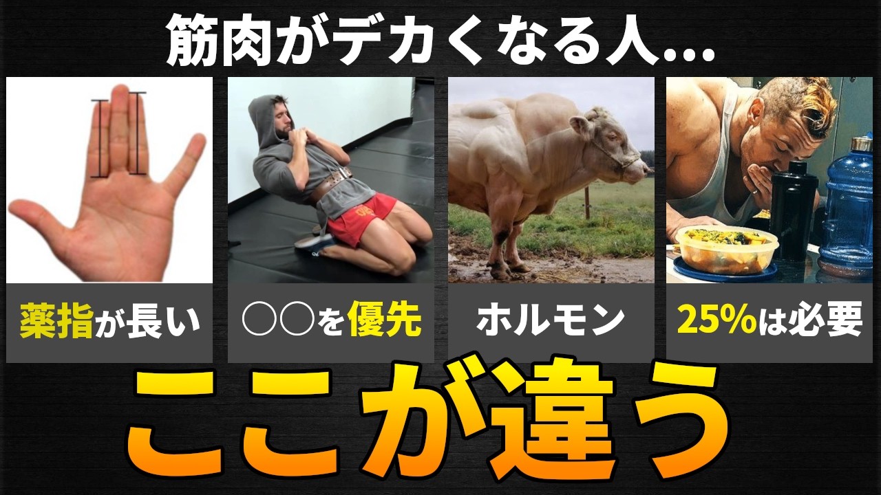 【衝撃的】筋肉がデカくなりやすい人の共通点｜筋トレ成功者は何が違う？