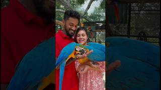 📍Birds Resort Habanthota