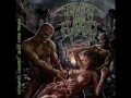 Katalepsy - Number of death (13) 