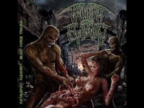 Katalepsy - Number of death (13)