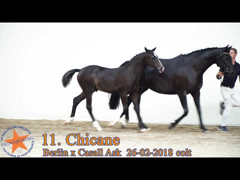 11 Chicane v. Berlin x Casall www.prinsjesdag.eu