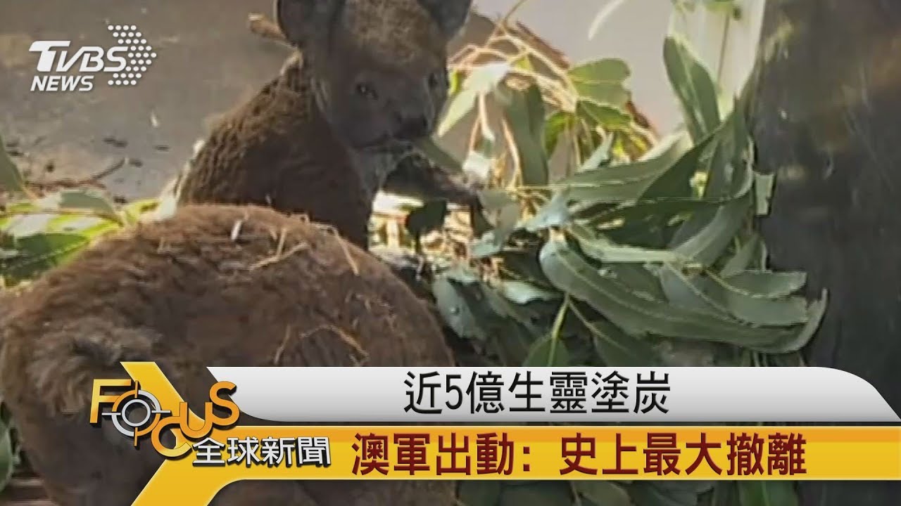 近5億生靈塗炭 澳洲軍方出動: 史上最大撤離