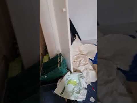 More about Gardaí corruption and perjury and Garda enforced destitution.