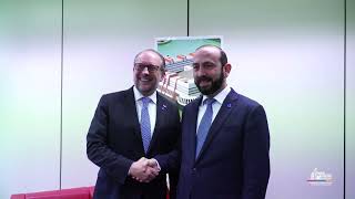 Հայաստանի և Ավստրիայի ԱԳ նախարարների հանդիպումը (Ստրասբուրգ)