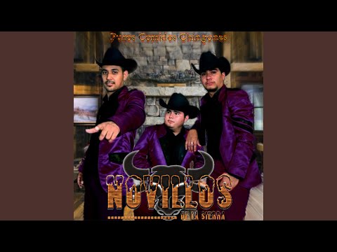 El Gato y Sus Felinos