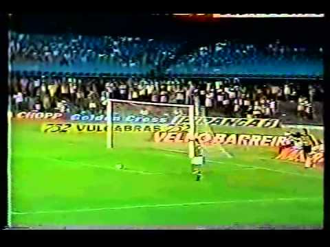 Campeonato Brasileiro 1988 Vasco da Gama Fluminense Todo