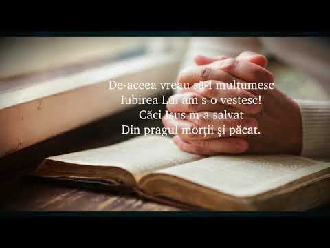 ÎMI AMINTESC DE-O SCUMPA ZI - Claudiu Agapie