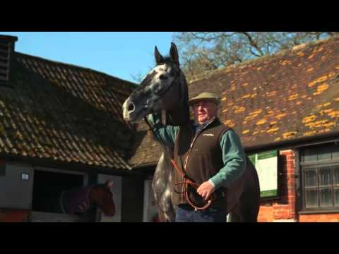 Cheltenham Festival - Paul Nicholls on Saphir Du Rheu | Betfred TV