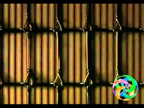 AMIGO ANJO - SÉRGIO SAINT