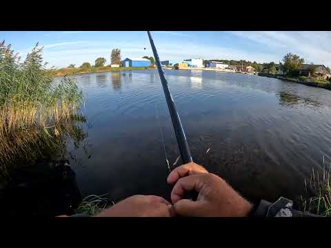 GRABIS COPĒ  atskaite Nr 4 - Prosa un grūba rullē !