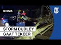 Storm Dudley houdt huis: boom valt op rijdende auto