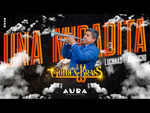 La Exclusiva Golden BRASS - Te Sigo Amando - &na Miradita / DIANA "BOB ESPONJA" | LUCANAS 2024.