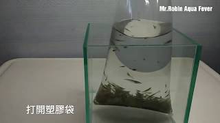 [掛號] 黑殼蝦一直死