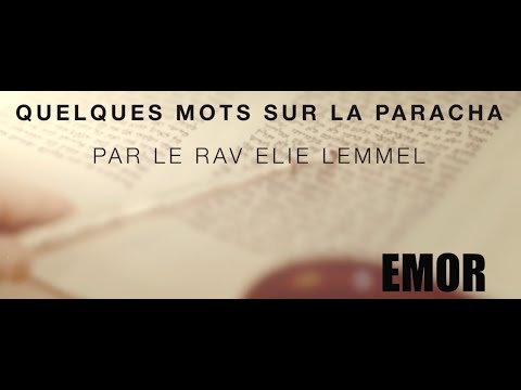 C'est MA mission ! Rav Elie Lemmel - Paracha Emor