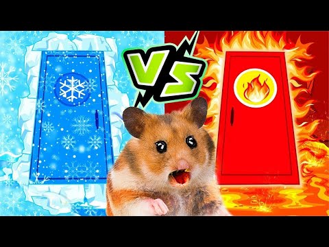 The naughty little hamster broke the air conditioner, it was cold for a while and hot for a while