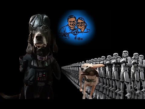 The Force is strong in this TAIL of Halloween | Funny Dog in Halloween Costume ● Pet Tails