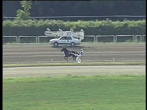 Trotto 26/05/2017 - prova di qualifica