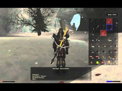 Lets Play Gothic 2 DNDR Part 262 - Der Kampf gegen den Eisdrachen und zwei alte "Freunde"