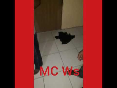 Mc ws