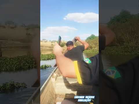 Fazenda São Miguel Município de Moiporá-Goiás