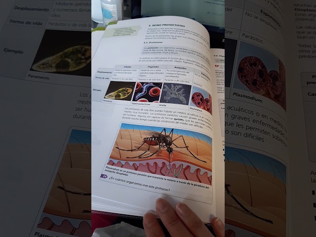 Vídeo relacionado con Biología y Geología. 1 Secundaria. Revuela. Castilla y León