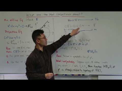 What are the Weil conjectures about?