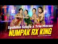 Syahiba Saufa X Trio Macan Numpak RX King Official Music Video Live Version