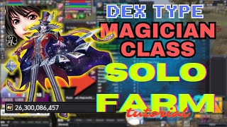 Dex Magician Solo Farming Guide